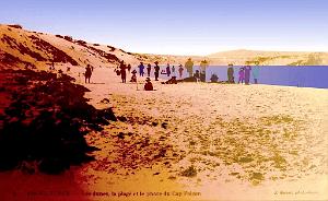 Ain-El-Turck - Les dunes et phare de Cap Falcon